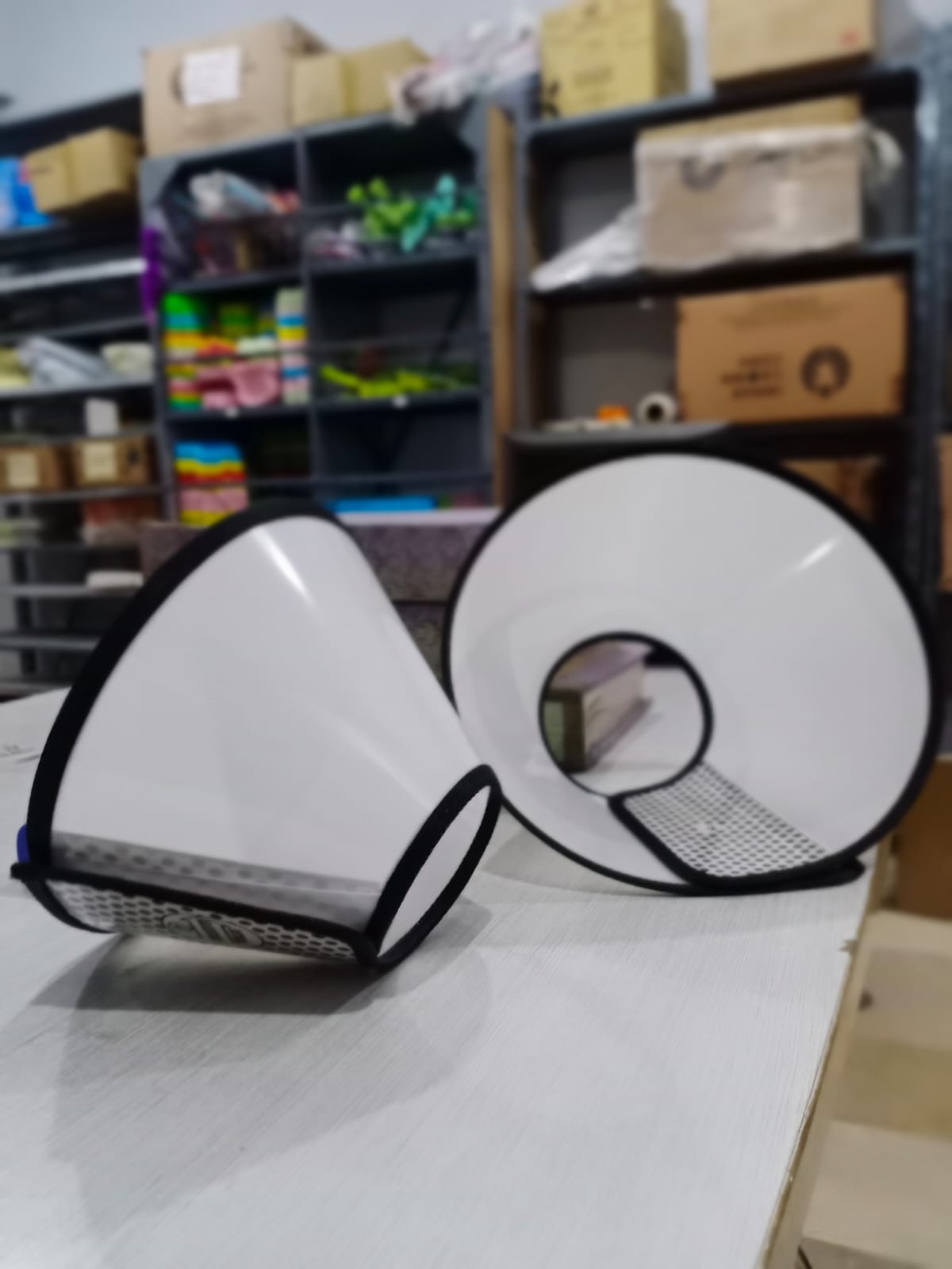 E-Collar